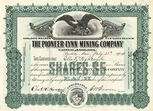 Öncü-Lynn Madencilik A. Ş. - Stok Sertifikası