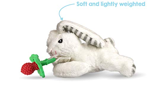 RAZBABY Razbuddy Razberry Diş Kaşıyıcı/Emzik Tutucu w / Çıkarılabilir Bebek Diş Kaşıyıcı Oyuncak-0M + - Bpa Free-Bunny