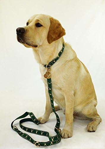 Hunter Lüks Köpek Tasması Seti-Dokuma Kenevir Köpek Tasması ve Eğitim Tasması-24kt Altın Kaplama Donanım-Trafik Saplı 6'sı
