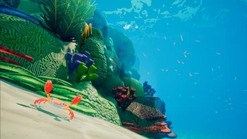 Efsanevi Okyanus-PlayStation 4
