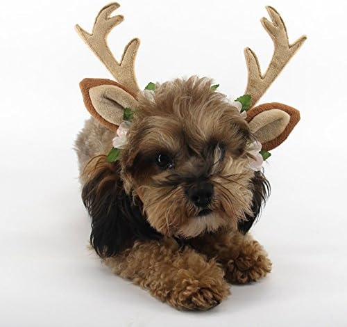 FLAdorepet Köpek Elk Boynuz Ren Geyiği Şapka Kap Köpek Kedi Pet Noel Kostüm Kıyafetler Küçük Büyük Köpek Şapka Şapkalar Saç