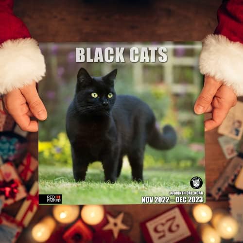 Kırmızı KÖZ Kara Kediler 2023 Asılabilir Aylık Duvar Takvimi / 12 x 24 Açık / Kalın ve Sağlam Kağıt | Hediye Edilebilir /
