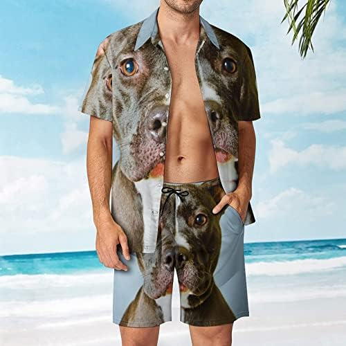 Çukur Boğa Köpek Erkekler 2 Parça Hawaii Seti Düğmeli Kısa Kollu Gömlek plaj pantolonları Gevşek Fit Tees Eşofman