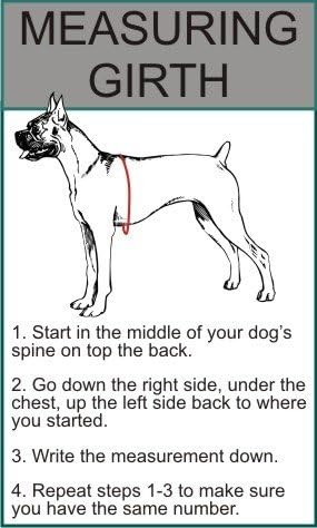Köpek Stylz Hizmet Köpek Eğitim Koşum Çıkarılabilir Eyer Çantası Köpekler Sırt Çantası Koşum Paketi Taşıyıcı. 2 Çıkarılabilir