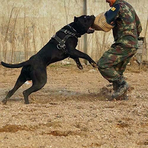 DHDM Dayanıklı Köpek Eğitim Koşum Yaka Büyük Köpekler Çoban Pet Ağırlık Çekme Koşum Çeviklik Köpek Eğitim Ürünleri (Boyut: