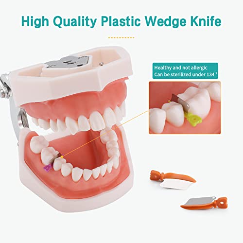 LVCHEN Metal Plastik Kama Bıçağı ile 150 Adet Diş interproksimal Matris Kama - Ortodontik Takozlar Diş Başbakan Dişler İnterproksimal