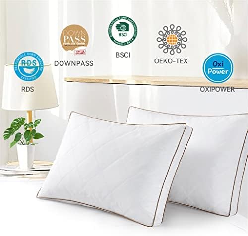 DSHGDJF Uyku Ortamı Desteği ve Makinede Yıkanabilir Yastıklar Yastık Takın Sağlıklı Uyku Yastığı (Renk : 2, Boyut : 46x66x5cm)