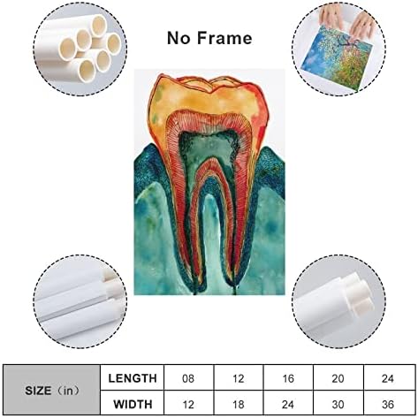 Posterler ve Baskılar Diş Boyama Diş Kliniği Dekor Suluboya Diş Anatomisi Duvar Sanatı Sanat Hediye Duvar Sanatı Tuval Baskılar