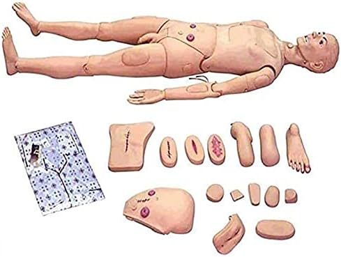 WFZY Hemşirelik Mankeni PVC İnsan Anatomik Modeli Çok Fonksiyonlu Erkek ve Kadın Hasta Bakım Simülatörü Hemşirelik Tıbbi
