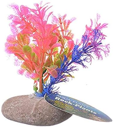 Penn-Plax Kaya Bitki Süs Çok Renkli Natüralist Akvaryum Dekor Bitki 6 inç