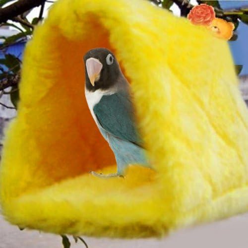 Güneş Conure Yeşil Yanak Kuş Papağan Döken Hamak Sıcak Kulübe Yuva Sarı