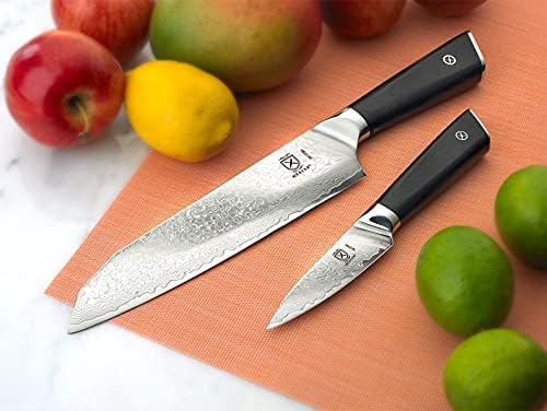 Mercer Culinary Premium Sınıf Süper Çelik 7 İnç Santoku ve 3.5 İnç Soyma Bıçağı Seti, G10 Kolları