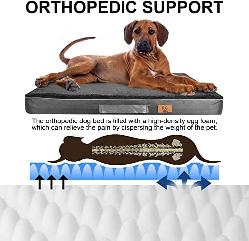 CELLEVO Ortopedik köpek yatağı, Orta Köpekler için köpek yatağı s, Çıkarılabilir Kapaklı ve Kaymaz Tabanlı Orta Köpek yatağı,