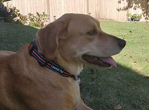 Lansmanı Pet ağır ayarlanabilir köpek tasması Yansıtıcı, sağlam ve hafif Naylon malzeme ve orta cins köpekler için emniyet