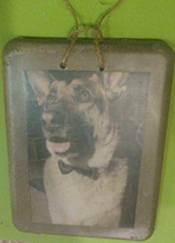Betona basılmış evcil hayvan anıt fotoğrafınız Köpek sahipleri ve kedi severler için ideal bir resim hediyesi