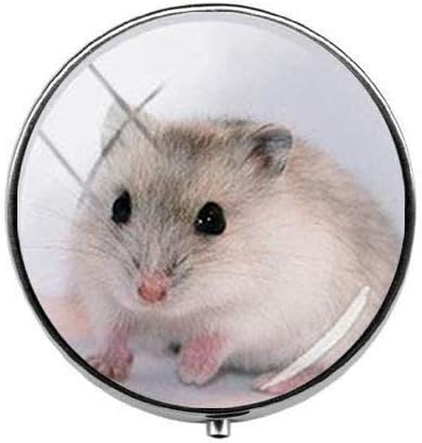 Güzel Güzel Küçük Pet Fare Hamster Hap Kutusu-Charm Hap Kutusu-Cam Şeker Kutusu Sanat Fotoğraf Takı Doğum Günü Festivali