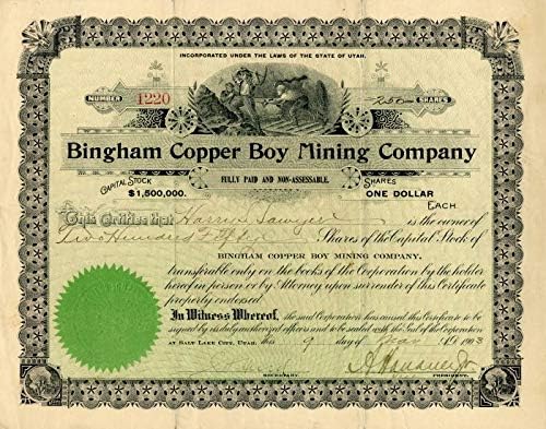 Bingham Bakır Çocuk Madencilik A. Ş. - Stok Sertifikası
