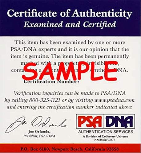 Larry Bird PSA DNA Coa İmzalı 8x10 Fotoğraf İmzası